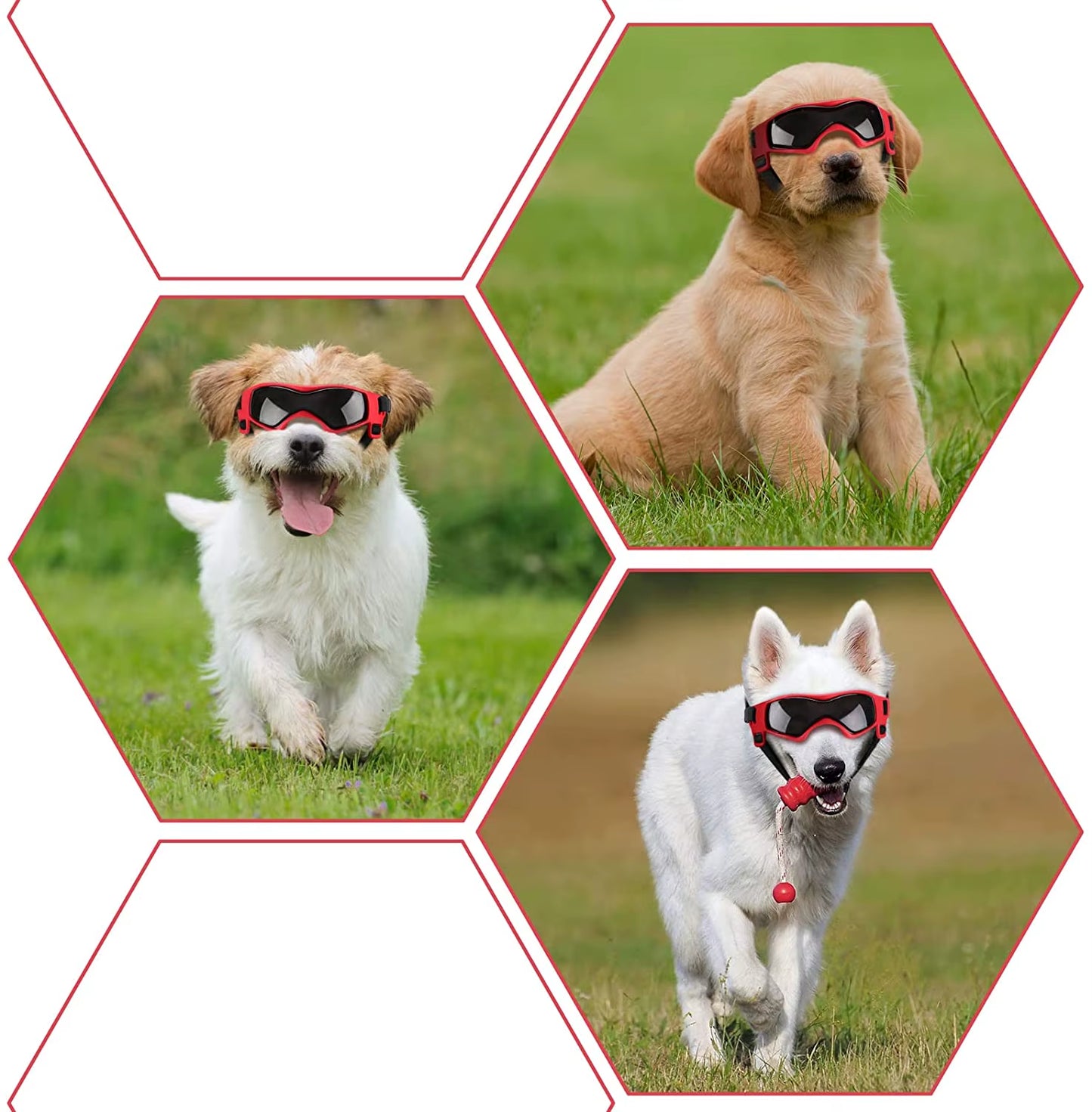 UV Protective Pet Goggles – Sunglasses for Small and Medium Dogs and Cats, Outdoor Riding Eyewear