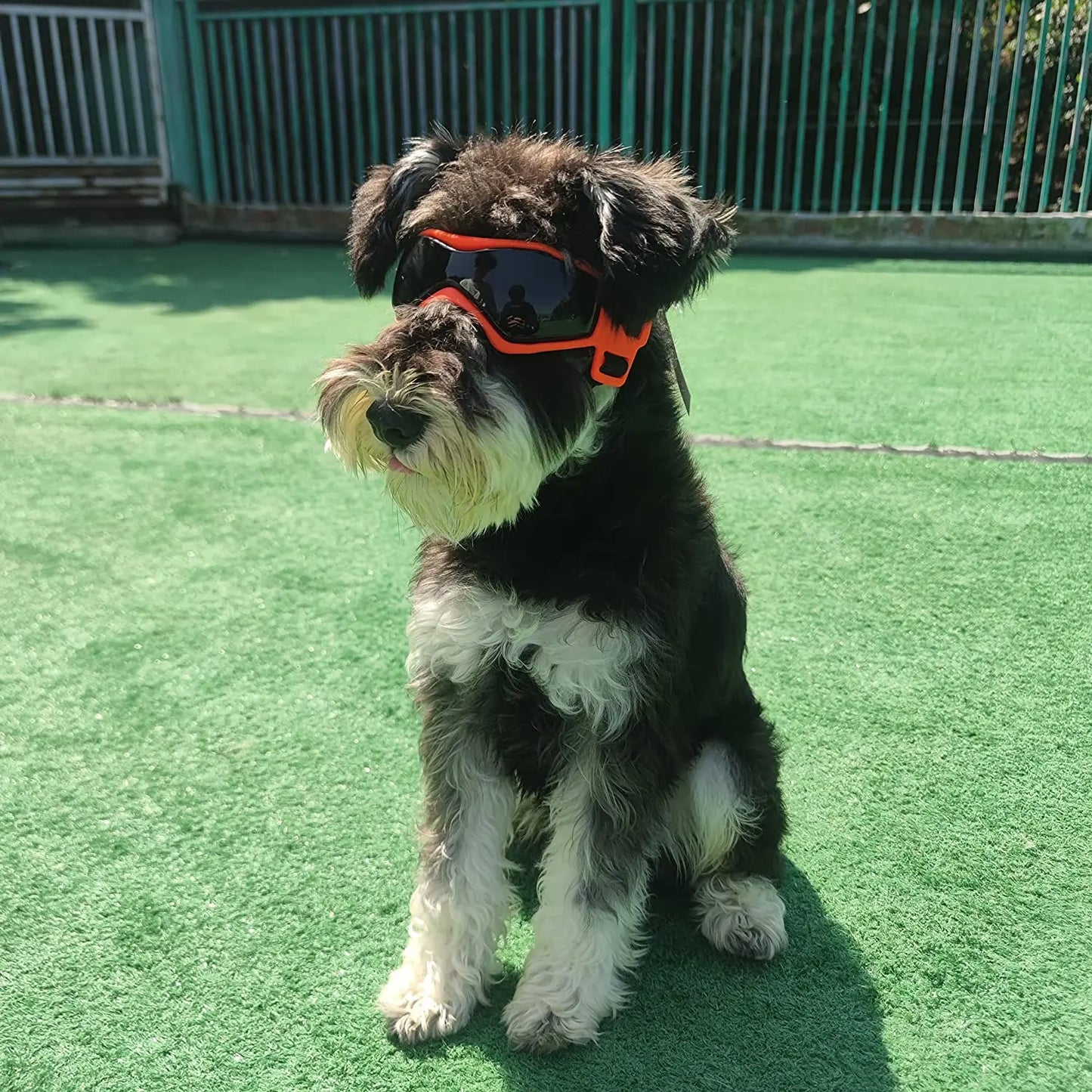 UV Protective Pet Goggles – Sunglasses for Small and Medium Dogs and Cats, Outdoor Riding Eyewear